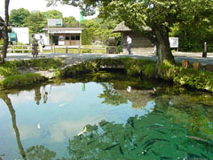 �y�G�[�XJTB�E�������s�z�R���c�A�[�E�R���̗��فE�z�e���\��@